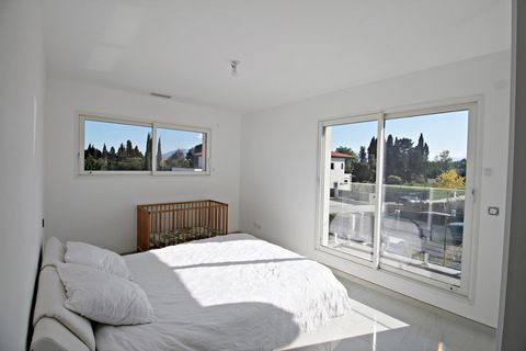 photo no. 14