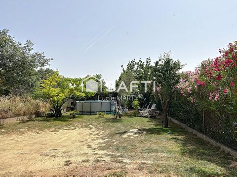 photo no. 1
