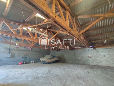 photo no. 1