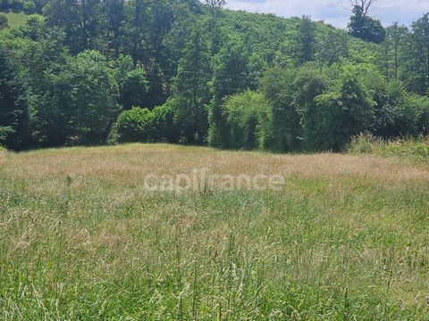 Terrain à vendre de 917 PANISSIERES (42)
