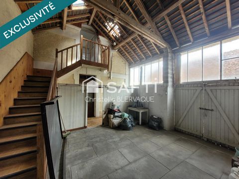 photo no. 2