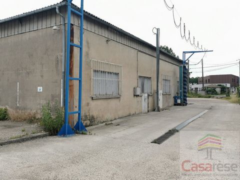 photo no. 2