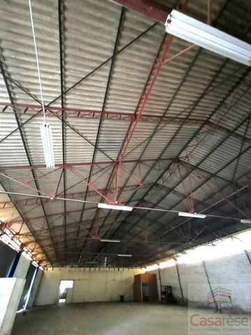 photo no. 3