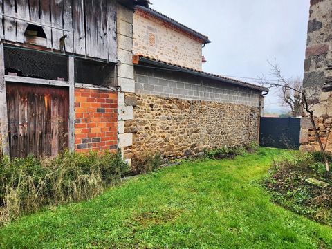 photo no. 16