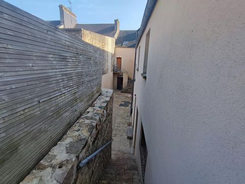 photo no. 4