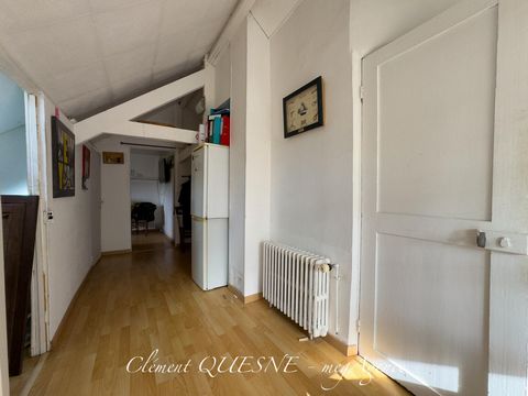 photo no. 8