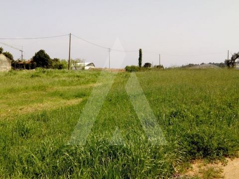 Lote de terreno destinado a construção na Palhaça, concelho de Oliveira do Bairro. Área total do terreno: 1881,2 m2 Área de implantação do edifício: 1053,6 m2 Área bruta dependente: 1575,15 m2 Área bruta de construção: 4529,1 m2 Com possibilidade de ...