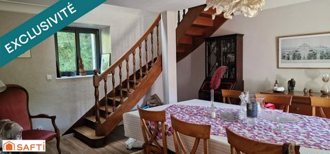 photo no. 11