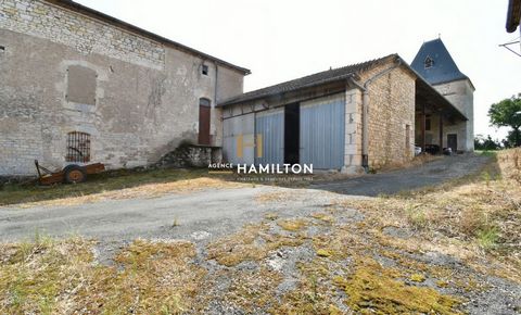 photo no. 19