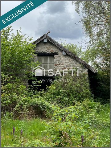 photo no. 14