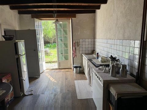 photo no. 8
