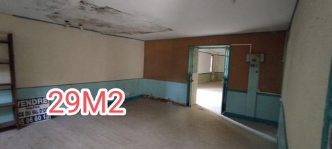 photo no. 6