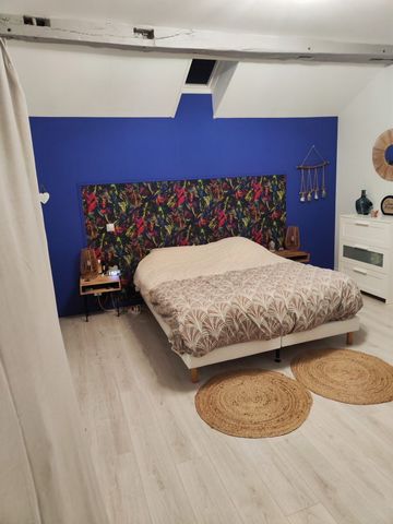 photo no. 13