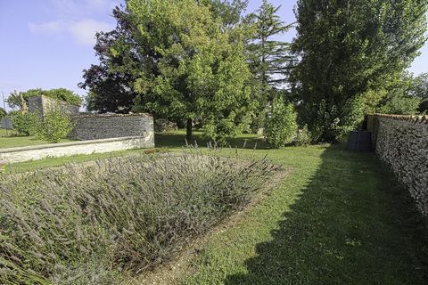 photo no. 20