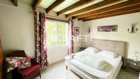 photo no. 11