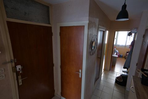 photo no. 5