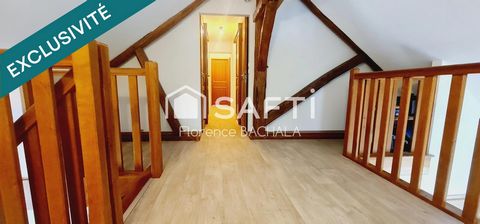 photo no. 12