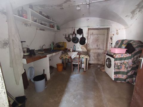 photo no. 6