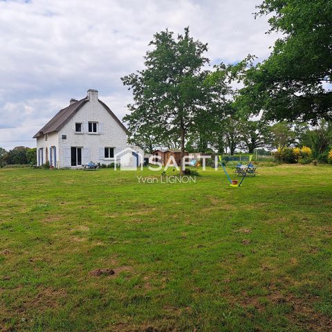 photo no. 9