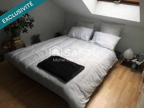photo no. 11