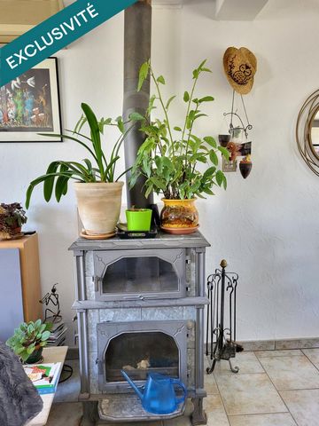 photo no. 12