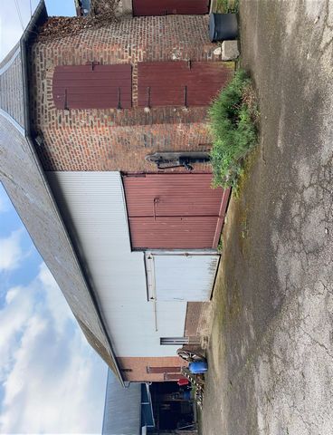photo no. 10