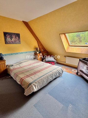 photo no. 11