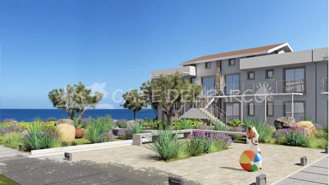 Wonen op de eerste rij aan zee: Borgo 84 – Ervaar het voorrecht van een huis aan zee op Sicilië Welkom in het eerste slimme dorp aan zee: een oase van privacy, technologie en mediterrane charme waar traditie en innovatie elkaar ontmoeten. Gelegen ver...