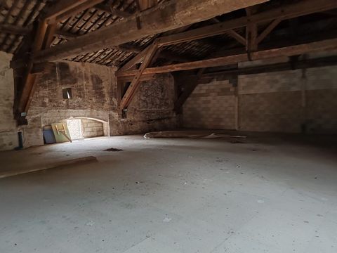 photo no. 8