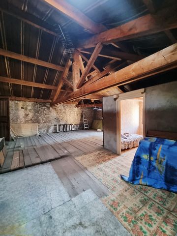 photo no. 6