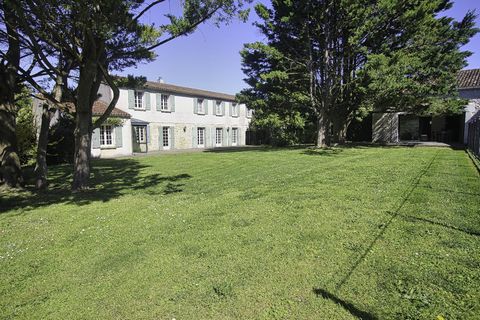 photo no. 21