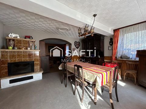 photo no. 11