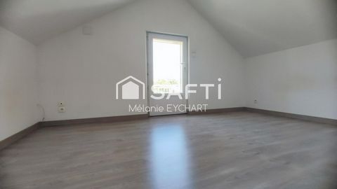photo no. 11