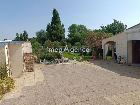 photo no. 9
