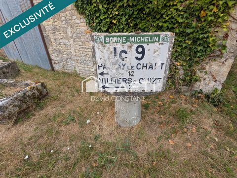photo no. 7