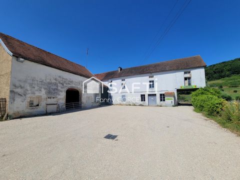 photo no. 2