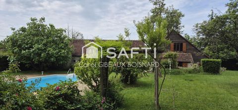 photo no. 13