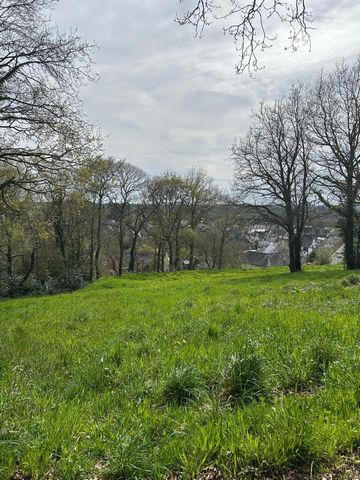 photo no. 2