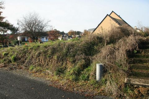 photo no. 3