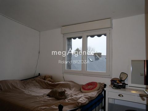 photo no. 5