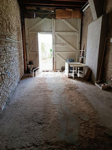 photo no. 10