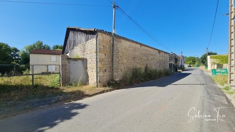 photo no. 1