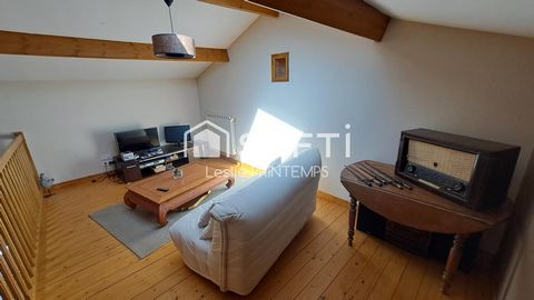 photo no. 10