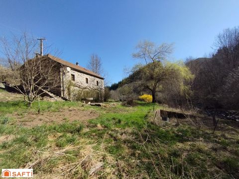 photo no. 1