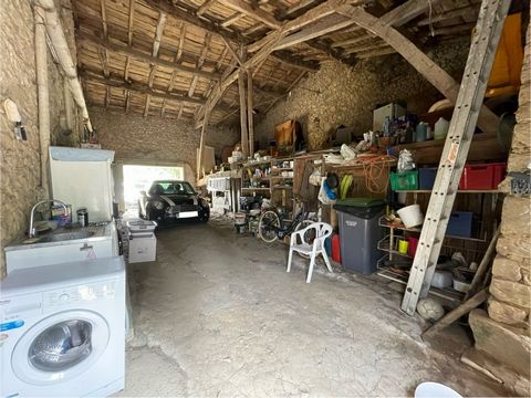 photo no. 18