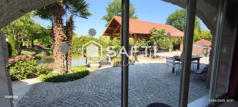 photo no. 11