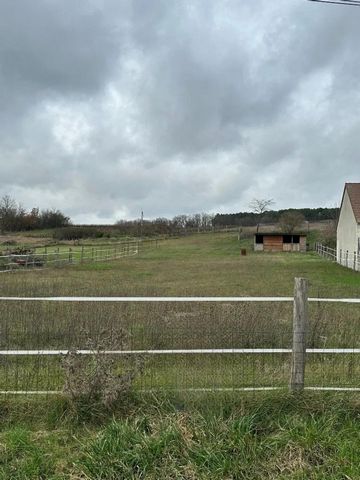 photo no. 1