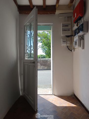 photo no. 8