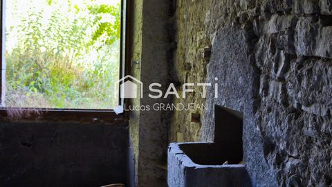 photo no. 10