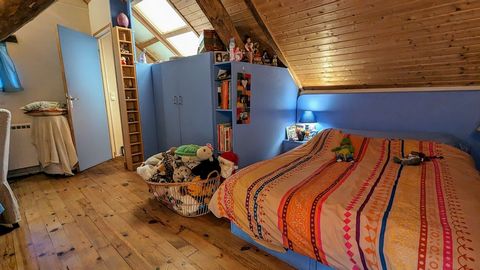 photo no. 12